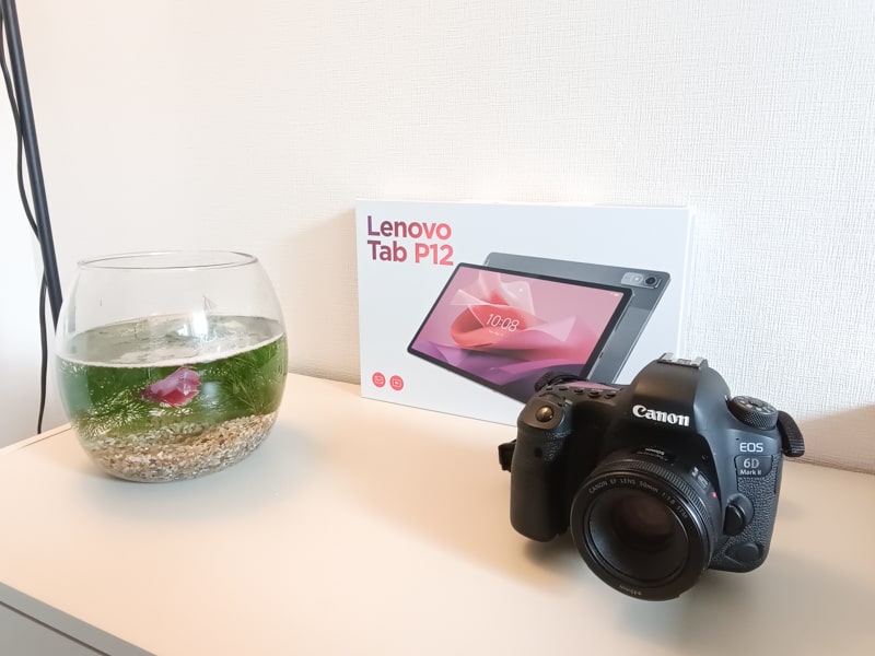 Lenovo Tab P12で撮影した写真
