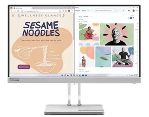 Lenovo L22e-40